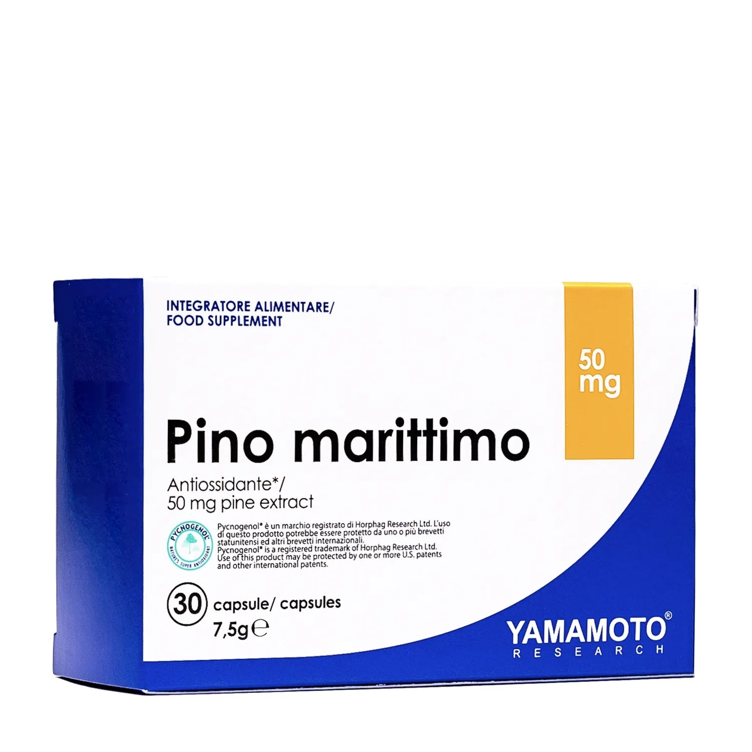 Yamamoto Research Pino Marittimo