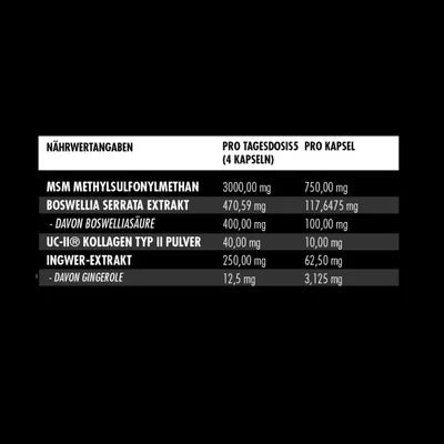 BIG ZONE Joint Protect 2.0 - 120 Kapseln